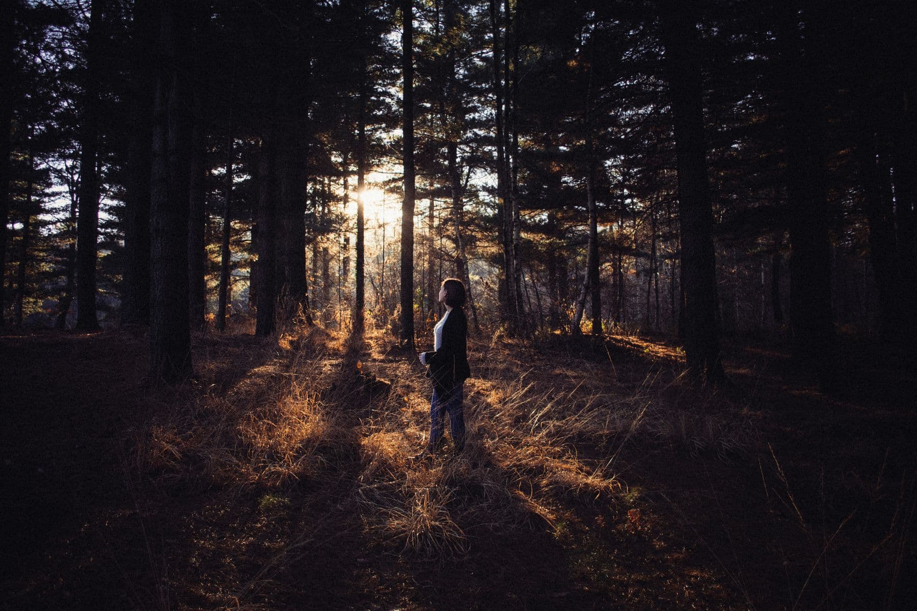 Sunlight filtering through a forest as a woman walks among the trees